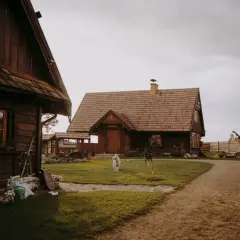Drewniane chaty, idealne na noclegi na Szlaku Orlich Gniazd rowerem. Dwa psy bawią się na trawie.