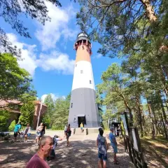 Wysoki stilo nad morzem, otoczony sosnowym lasem. Turyści zwiedzają teren latarni.