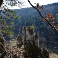 Skałki w najmniejszym parku narodowym w Polsce, Ojcowski Park Narodowy, na tle zalesionego zbocza.