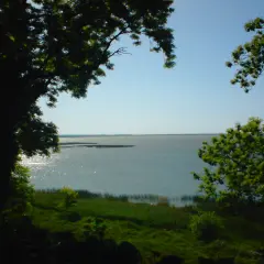 Widok na jezioro Gardno zza drzew. Słońce odbija się od wody, tworząc błyszczące refleksy.