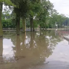 Zalane drzewa i budynki, woda sięga do połowy pni. Widać fragmenty ogrodzenia i drogi. To obraz tego, co to powódź.