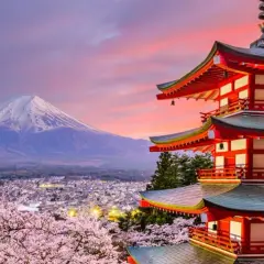 Najciekawsze atrakcje w Tokio Japonia, które musisz zobaczyć