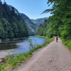 Rowerzysta na ścieżce wzdłuż Dunajca, malownicza trasa Velo Dunajec Tarnów.