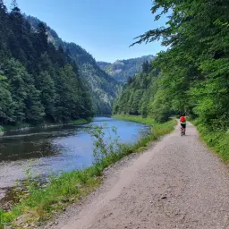 Rowerzysta na ścieżce wzdłuż Dunajca, malownicza trasa Velo Dunajec Tarnów.