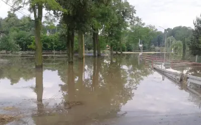 Zalane drzewa i budynki, woda sięga do połowy pni. Widać fragmenty ogrodzenia i drogi. To obraz tego, co to powódź.