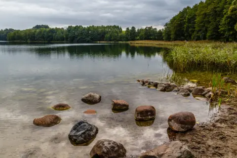 Kamienie wystające z wody, las na horyzoncie. Widać, że hańcza głębokość jest tu niewielka, bo kamienie są widoczne.