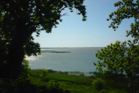 Widok na jezioro Gardno zza drzew. Słońce odbija się od wody, tworząc błyszczące refleksy.