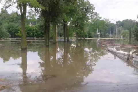 Zalane drzewa i budynki, woda sięga do połowy pni. Widać fragmenty ogrodzenia i drogi. To obraz tego, co to powódź.