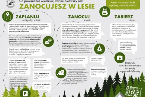 Planujesz zanocuj w lesie? Sprawdź mapę, pogodę i zasady. Aplikacja mBDL pomoże Ci zaplanować nocleg.