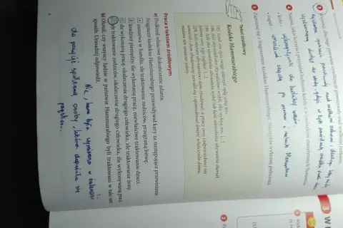 Dlaczego pierwsze cywilizacje powstały nad wielkimi rzekami? Odkryj przyczyny