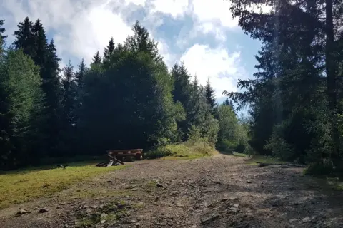 Leśna droga w Przytkowicach prowadzi przez gęsty las. Po lewej stronie widać drewnianą ławkę i stos drewna.