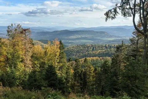 Leskowiec - najlepsze szlaki i wejście do schroniska