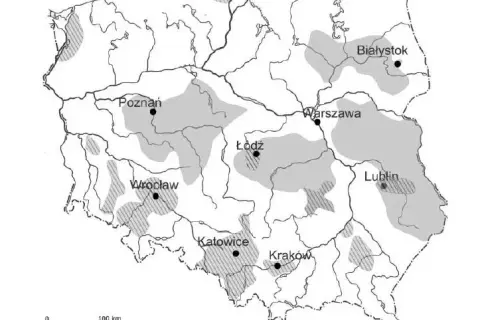 Jakie są rzeki w Polsce? Odkryj ich znaczenie i ciekawostki