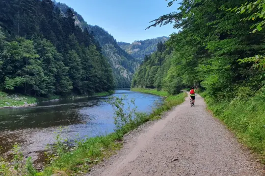 Rowerzysta na ścieżce wzdłuż Dunajca, malownicza trasa Velo Dunajec Tarnów.