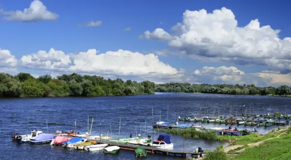 Przez jakie miasta przepływa rzeka Narew? Odkryj fascynujące miejsca