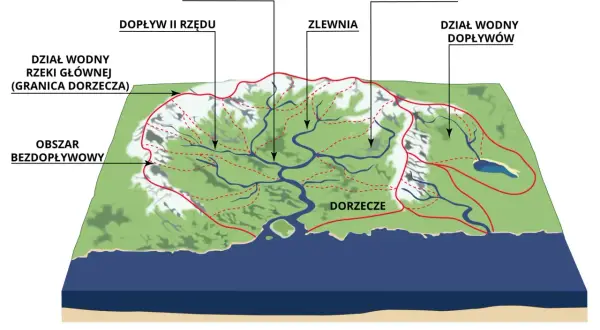 Schemat systemu rzecznego. Widać początek rzeki, jej dopływy, zlewnie i dorzecza.