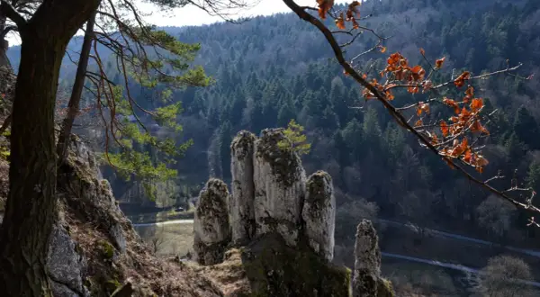Skałki w najmniejszym parku narodowym w Polsce, Ojcowski Park Narodowy, na tle zalesionego zbocza.