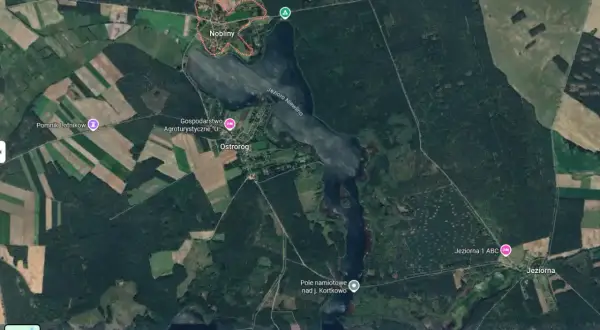 Widok satelitarny jeziora i otaczających je lasów, pól i zabudowań.