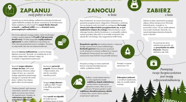 Planujesz zanocuj w lesie? Sprawdź mapę, pogodę i zasady. Aplikacja mBDL pomoże Ci zaplanować nocleg.