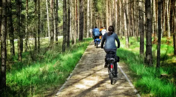 Grupa rowerzystów przemierza leśną ścieżkę, odkrywając uroki kaszubskiej marszruty.