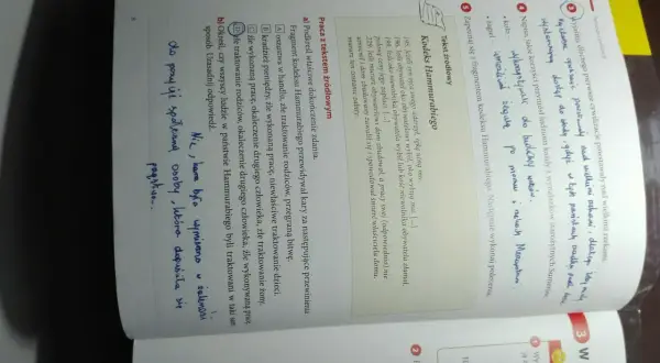 Dlaczego pierwsze cywilizacje powstały nad wielkimi rzekami? Odkryj przyczyny