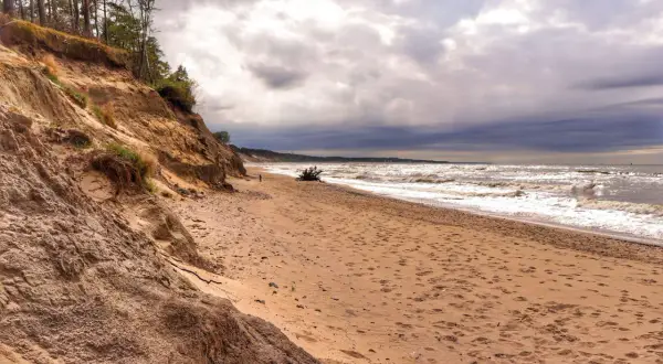 Piaszczysta plaża z klifem porośniętym drzewami. W oddali widać morze i burzowe chmury. Miejsce idealne na spacer, jak w **orzechowo**-brązowych barwach.