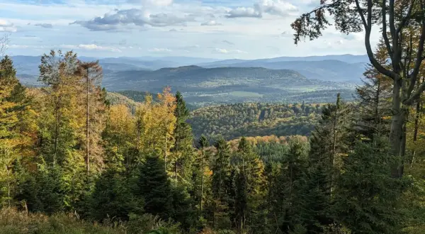 Leskowiec - najlepsze szlaki i wejście do schroniska