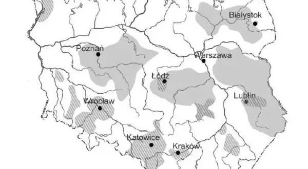 Jakie są rzeki w Polsce? Odkryj ich znaczenie i ciekawostki