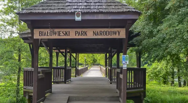 Drewniany mostek prowadzi do serca Puszczy Białowieskiej. Tablica "Białowieski Park Narodowy" wita gości.