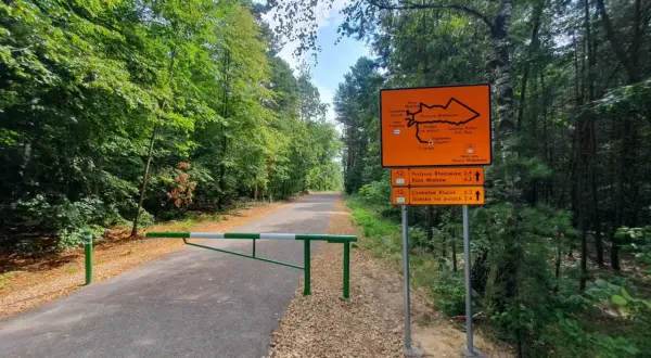 Pustynia Błędowska trasa rowerowa. Znak wskazuje drogę przez las, z zielonym szlabanem i ścieżką rowerową.