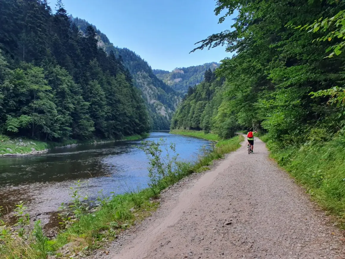 Rowerzysta na ścieżce wzdłuż Dunajca, malownicza trasa Velo Dunajec Tarnów.