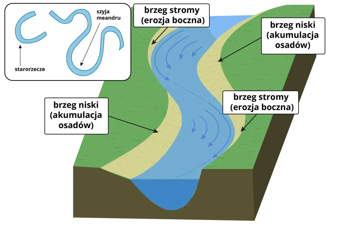 Meander rzeczny - jak powstaje zakole i kiedy staje się starorzeczem