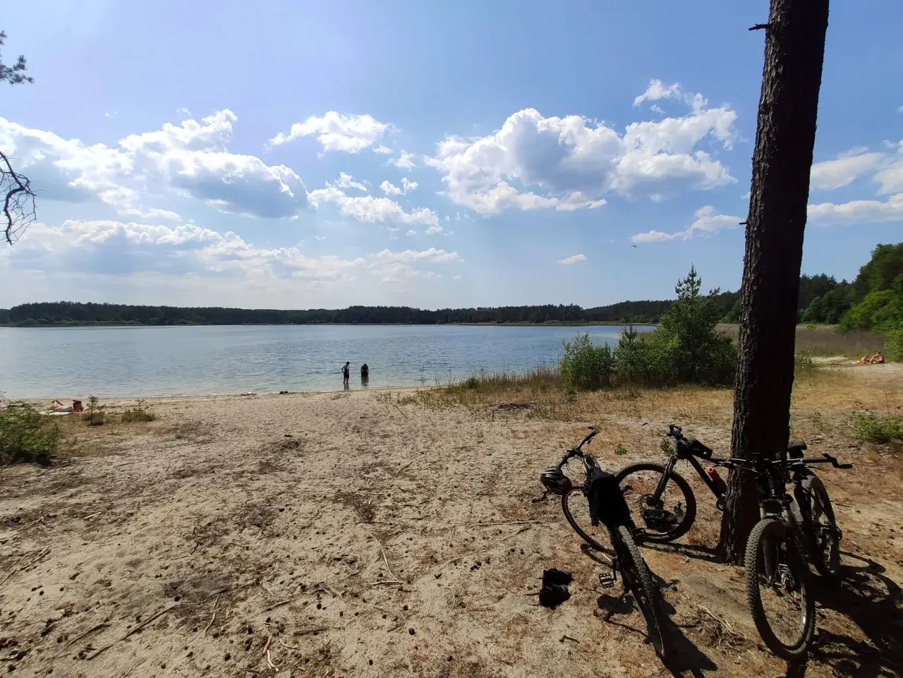 Dwa rowery czekają na plaży nad jeziorem, gotowe na odkrywanie **Swornegacie trasy rowerowe**. W tle woda i las.