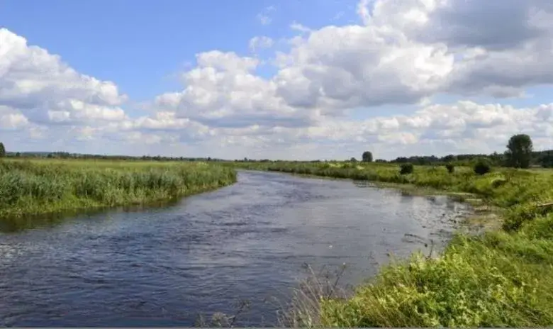Zdjęcie Przez jakie miasta przepływa rzeka Narew? Odkryj fascynujące miejsca