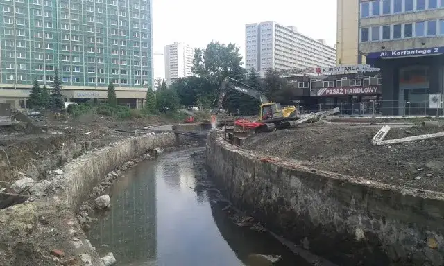 Zdjęcie Jaka rzeka przepływa przez Katowice? Odkryj tajemnice Rawy