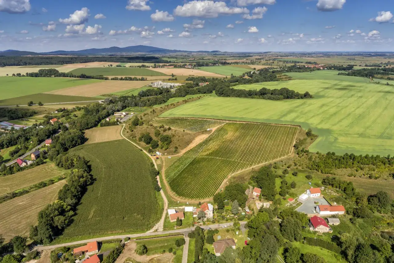 Malownicza winnica Dolny Śląsk, otoczona polami kukurydzy i zbóż, z widokiem na góry.