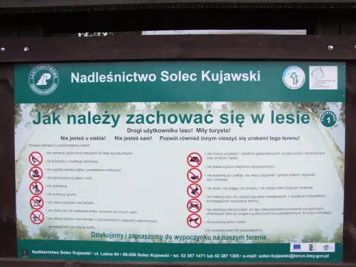 Mapa dróg leśnych i polnych - jak planować dojazd do atrakcji