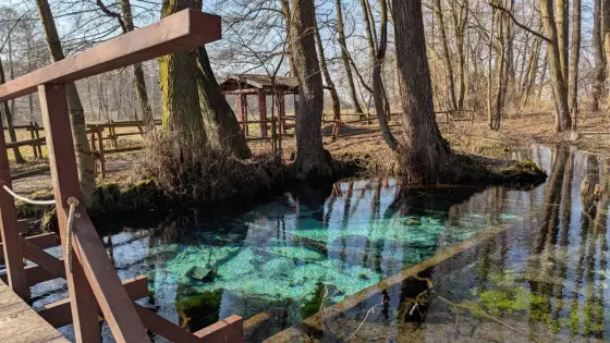 Dłubnia - źródła, dolina i pomysły na wycieczkę