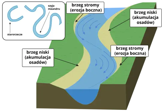 Meander rzeczny - jak powstaje zakole i kiedy staje się starorzeczem