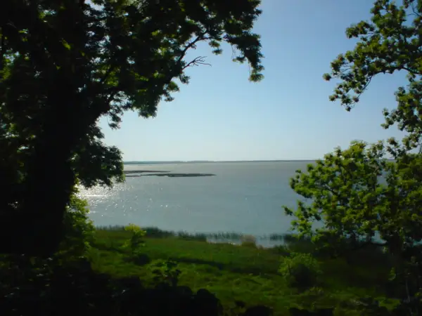 Widok na jezioro Gardno zza drzew. Słońce odbija się od wody, tworząc błyszczące refleksy.