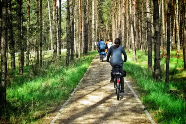 Grupa rowerzystów przemierza leśną ścieżkę, odkrywając uroki kaszubskiej marszruty.