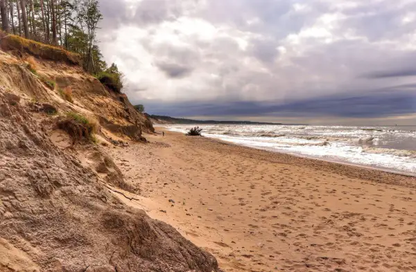 Piaszczysta plaża z klifem porośniętym drzewami. W oddali widać morze i burzowe chmury. Miejsce idealne na spacer, jak w **orzechowo**-brązowych barwach.