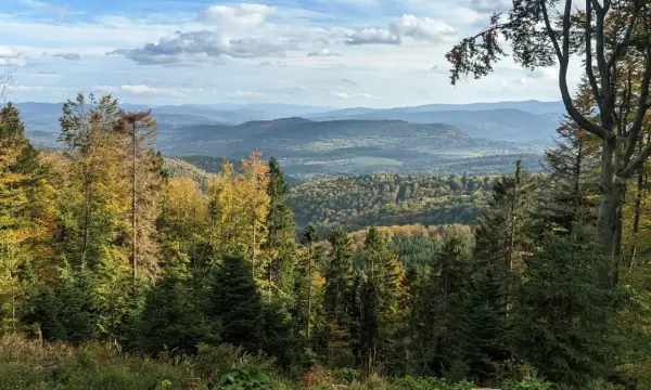 Leskowiec - najlepsze szlaki i wejście do schroniska