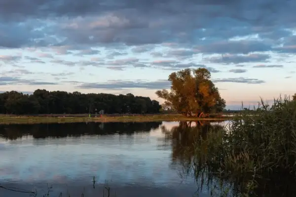 Jaka rzeka płynie przez Szczecin? Odkryj tajemnice Odry i jej znaczenie