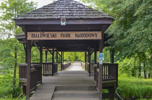 Drewniany mostek prowadzi do serca Puszczy Białowieskiej. Tablica "Białowieski Park Narodowy" wita gości.